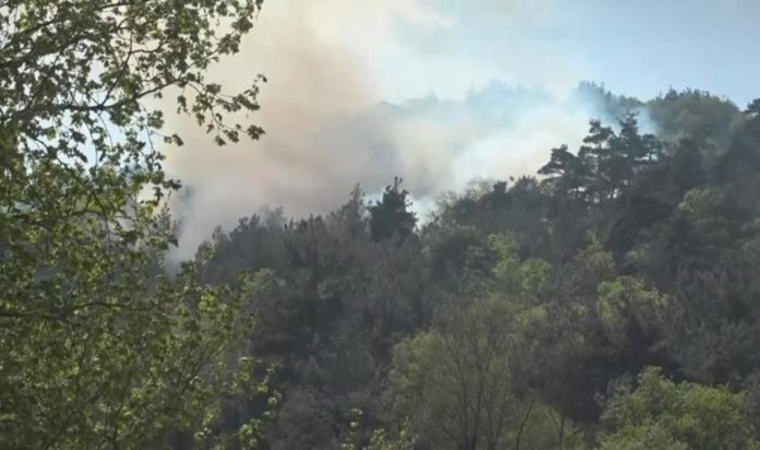 bursada-orman-yangini-hll3rAHT.jpg