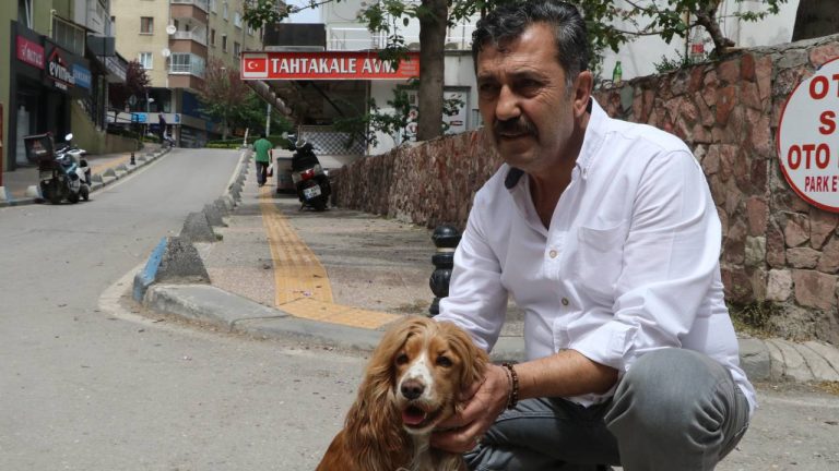 Çankırı’da hafif ticari araç köpeğe çarparak üzerinden geçti