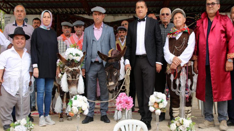 Antalya’da eşeklere nikah kıyıldı: ‘Bu hayvanların nesli tükenmesin’