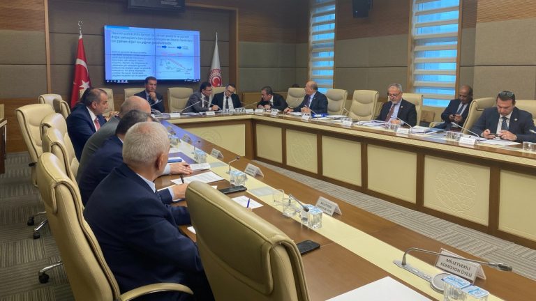 Prof. Dr. Candan Gökçeoğlu, İliç komisyonunda konuştu: Can kayıplarını engellemek maden sahası boşaltılmalıydı