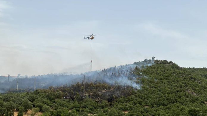 balikesirde-cikan-orman-yanginina-mudahale-ediliyor-SXplvJLY.jpg