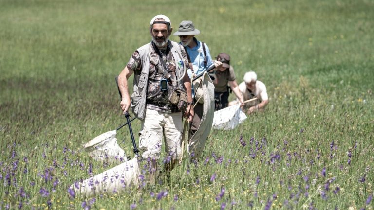 Hakkari’den Uludağ’a: Türkiye’nin biyoçeşitliliği araştırılıyor