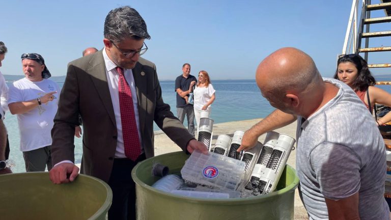 Istakoz yavruları Çanakkale Boğazı’na bırakıldı