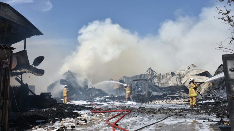 İzmir’de otlarda başlayan yangın palet fabrikasına ve hayvan barınağına sıçradı