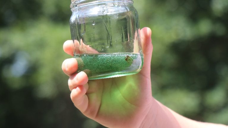 Sakarya’da arı kovanından çıkan yeşil bal görenleri şaşkına çevirdi