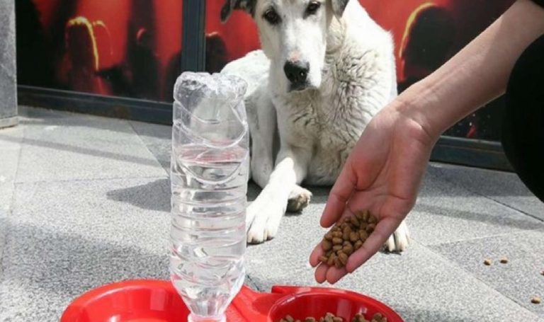 Son Dakika… ‘Katliam yasası’ komitede kabul edildi!