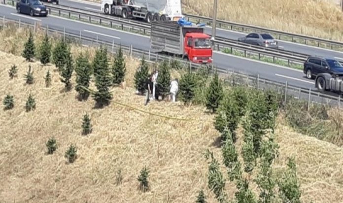 tem-kenarinda-curumeye-baslamis-bayan-cesedi-bulundu-J5VczM2x.jpg