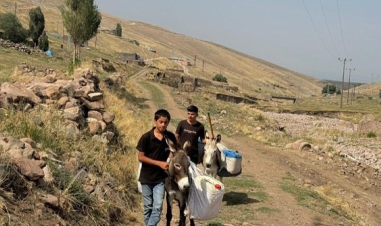 2024 yılında Türkiye manzaları: Iğdırlı çocukların eşekle su taşıma sıkıntısı
