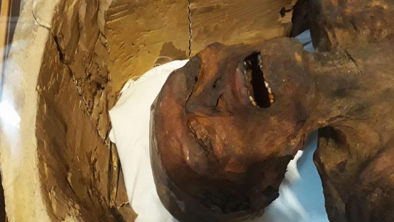3 bin 500 yıldır sırrıyla birlikte gömülüydü: ‘Çığlık atan mumyanın’ gizemi nihayet çözüldü