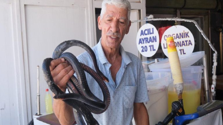 Adana’da Yılancı Osman’ın hayat kıssası yürekleri burktu