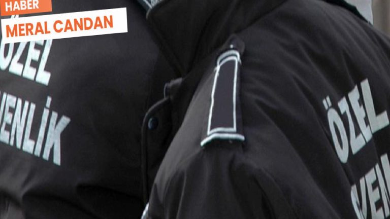 Bahçeşehir’deki sitede kedi ölümü: İfadede ‘istismar’ arandı