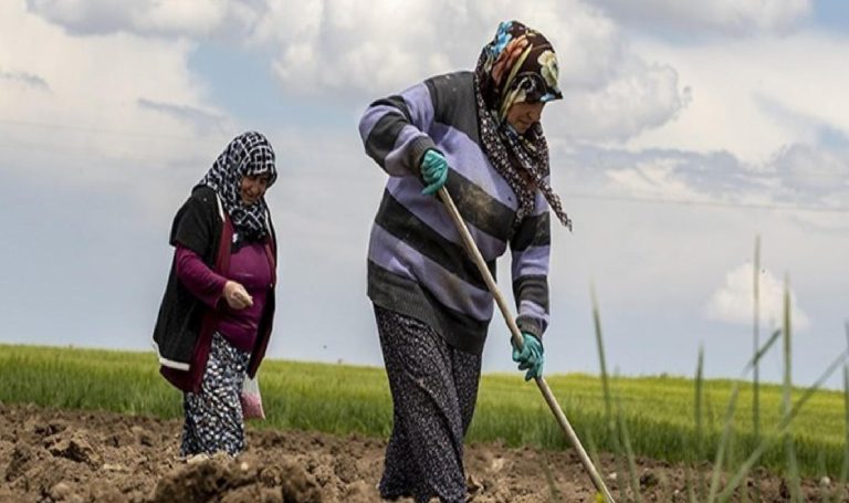 ‘Çiftçinin arazi gereksiniminden çok, girdi maliyetlerinin azaltılmasına gereksinimi var’