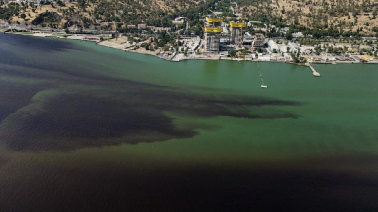 ÇMO: Çevre ve halk sağlığı için tüm veriler şeffaf şekilde paylaşılmalı