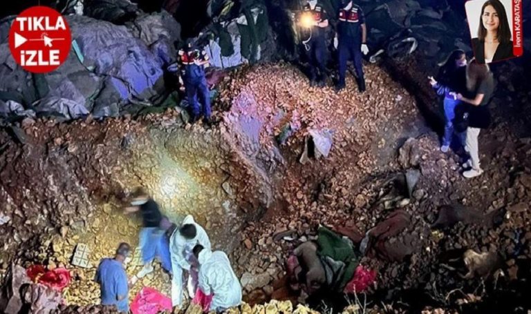 Hayvan katliamının arkasındaki toplumsal gerçek! Sosyologlar kıymetlendirdi: Şiddet yükseliyor!
