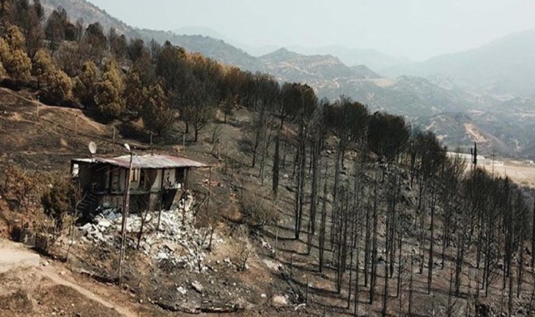 İzmir’ deki yangında konutları yananlar, yaşadıklarını anlattı