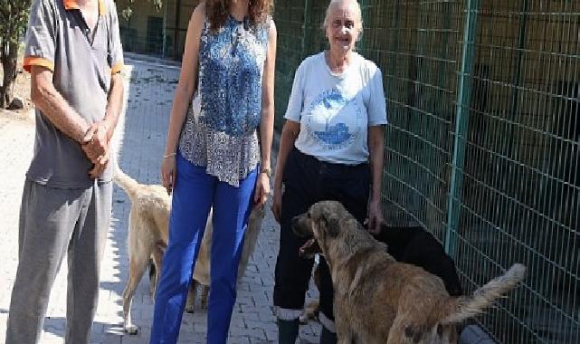 Karşıyaka, Türkiye’ye örnek bir hayvan kompleksine kavuşacak!