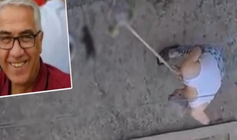 Manisa’da infial yaratan manzara: 3 yavru kediyi, mutfağına girdiği için öldürmüş