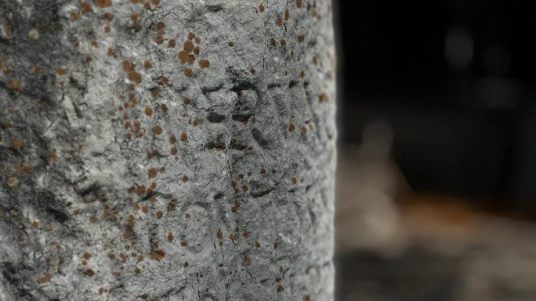 Roma’nın ‘trafik tabelası’ Boğazkale Müzesi’nde