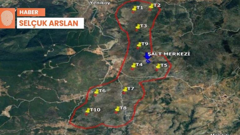 Bodrum’da yanan ormanlara RES yapılacak: Süreç başladı