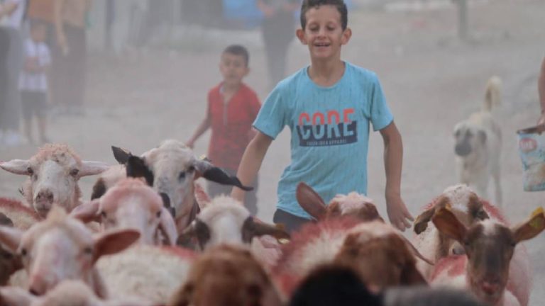 Burdur’da sudan koyun geçirme geleneği asırlardır yaşatılıyor
