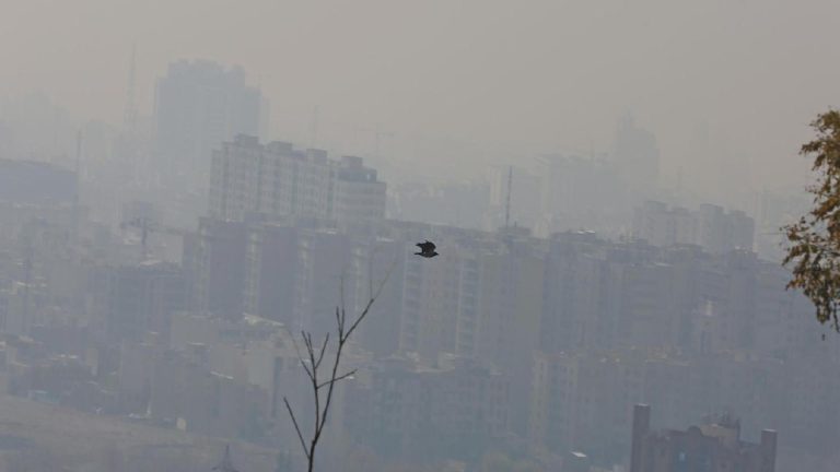 Hava kirliliği, hem bedenimizi hem duygu durumumuzu bozuyor, mutsuzluğu ve stresi tetikliyor