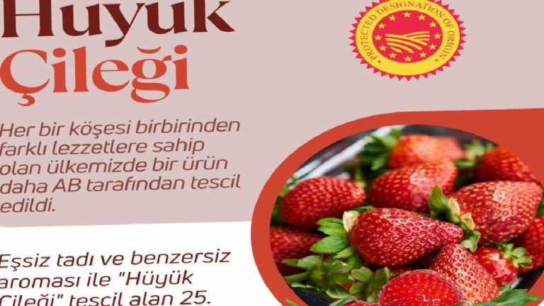 Hüyük çileği artık coğrafi işaret tesciline sahip