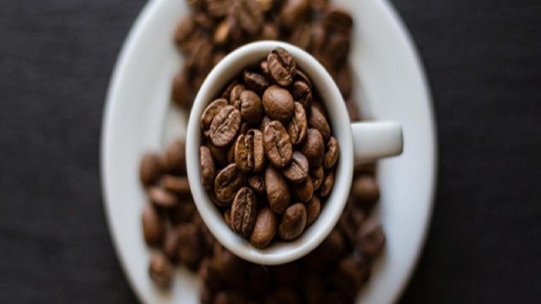 İklim değişikliği kahve üretim alanlarını değiştirecek