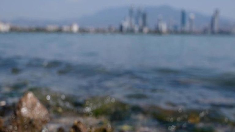 İzmir Büyükşehir Belediyesi’nden EGEÇEP’e ‘balık ölümleri’ yanıtı