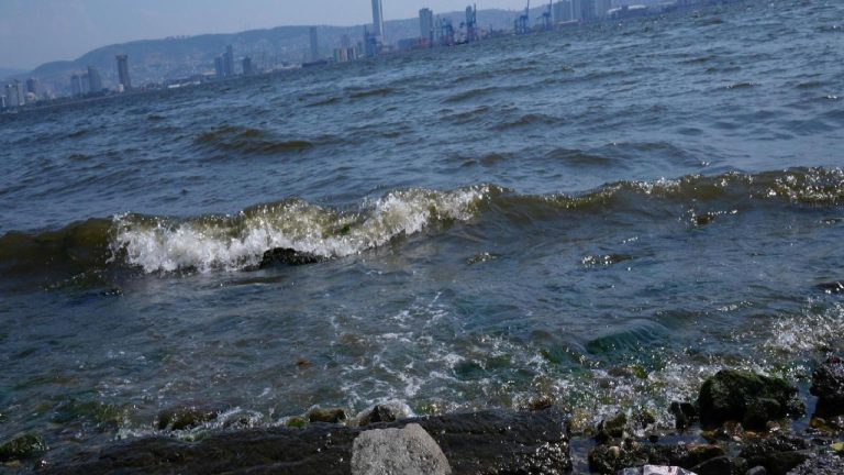 İzmir Körfezi’ndeki kirlilik için atık su deşarjları mercek altına alınıyor