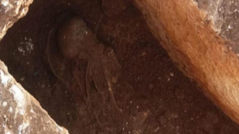 Malezya’da 16 bin yıllık olduğu düşünülen insan iskeletleri bulundu