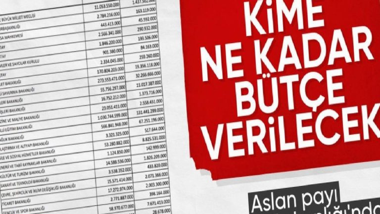 OVP, Resmi Gazete’de: Bütçeden en büyük hisse Maliye’nin