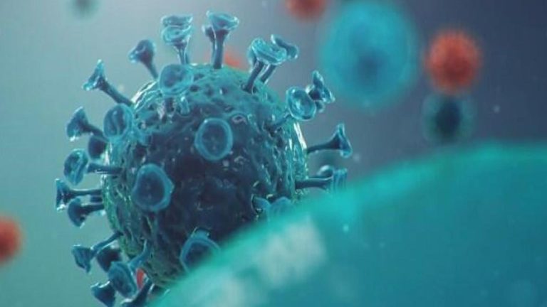 Prof. Dr. Azap: Kovid-19’un yeni varyantı XEC’nin Türkiye’de etkin olmasını bekliyoruz