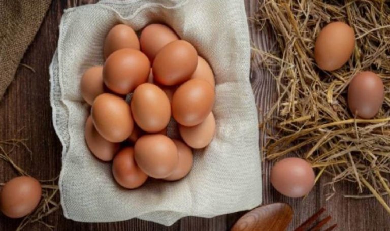 Tarım Bakanlığı’ndan ‘ilaçlı yumurta’ tezlerine karşılık