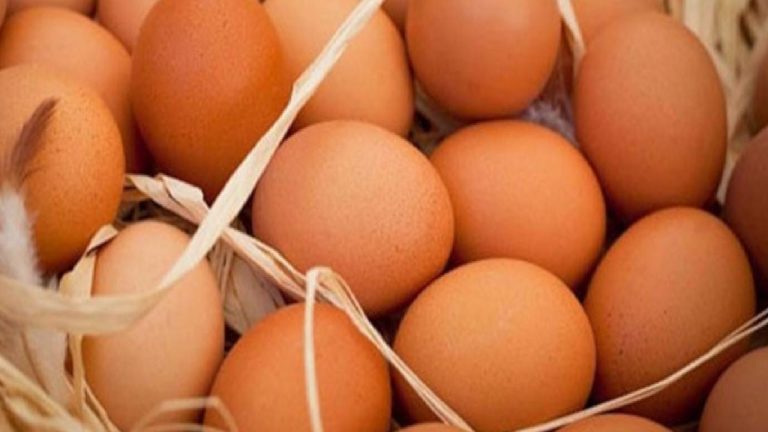 Tarım ve Orman Bakanlığı ‘ilaçlı yumurta’ iddialarını yalanladı