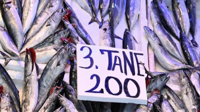 trabzondaki-balikci-tezgahlarinda-palamut-bollugu-3u-200-liradan-satiliyor-ZTkTIviw.jpg