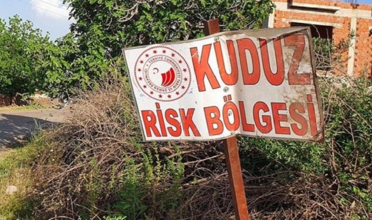 ‘Türkiye’de kuduz sayıları artıyor’