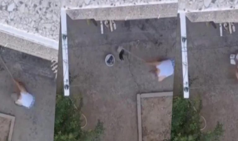 Yavru kedileri süpürge sapıyla öldüren cani için karar çıktı