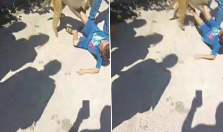 Adana’da değişik olay: Sokakta maymun çocuğa saldırdı!