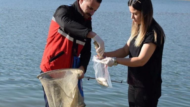 Batman’da topluk balık ölümleri: İkinci kez numune alındı