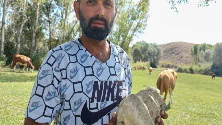 Hayvanlarını otlatmak istedi: Fosil buldu