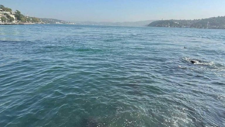 İSKİ’den ‘Baltalimanı’ açıklaması: Sebebi şiddetli yağış