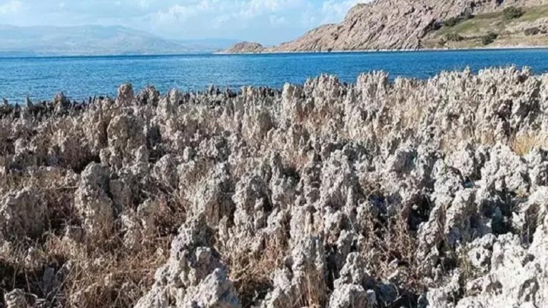 Van Gölü’nde sular çekilince mikrobiyalitler ortaya çıktı