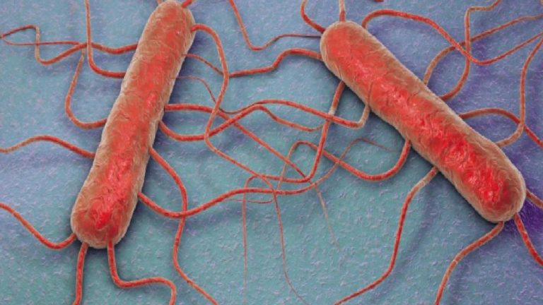 ABD’de listeria alarmı: Bir bebek öldü, 9 kişi hastaneye kaldırıldı