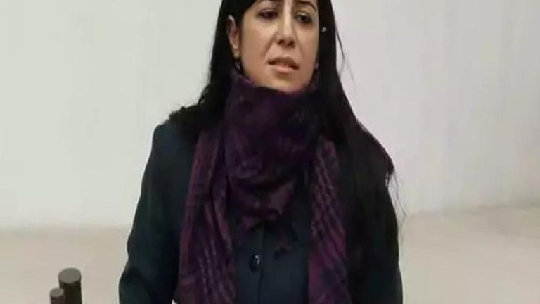 Ayla Akat Ata: Erdoğan ‘süreci buzdolabından çıkardım’ demedi, asıl olan bu…