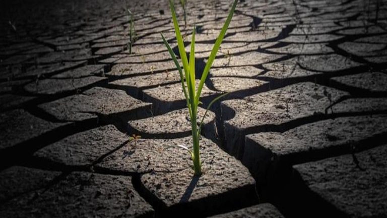 Dünya Meteoroloji Örgütü duyurdu: 2024 ‘kayıtlardaki en sıcak yıl olma yolunda’
