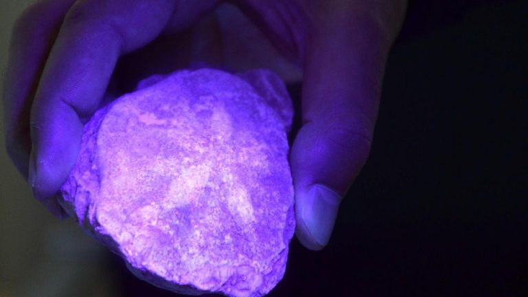 Sadece yürüyüşe çıkmışlardı: Tesadüfen 280 milyon yıllık ayak izlerine rastladılar, ‘kaybolan dünyayı’ keşfettiler