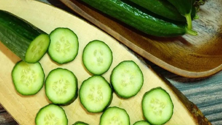 Daha önce soğanlarda görülen salmonella şimdi de salatalıklarda tespit edildi