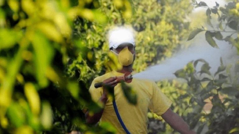 Pestisitler Meclis gündeminde: Her altı numuneden biri sorunlu