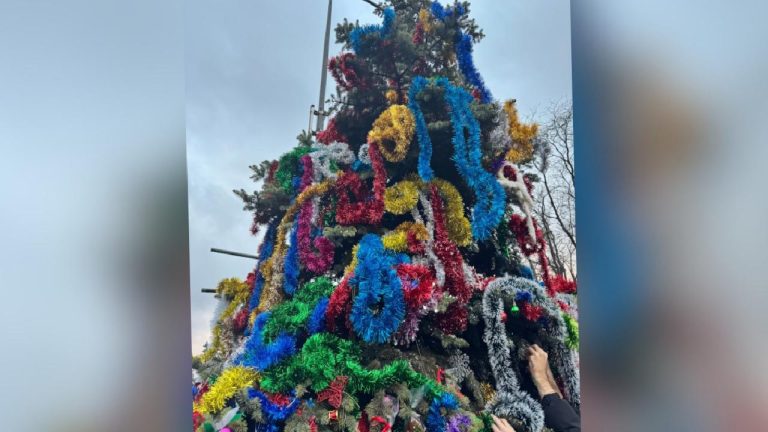 Yıldız Teknik Üniversitesi’nde yılbaşı ağacı engellemelere rağmen süslendi