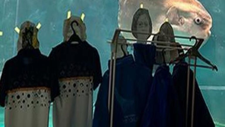 Akvaryumdaki balığın depresyonunu karton insandan arkadaşlarla tedavi ettiler